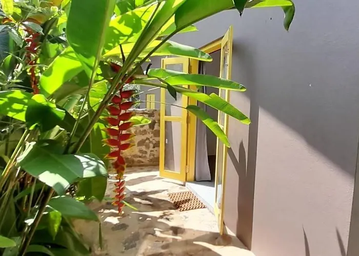 Bungalow 16 - Tropical Retreat
